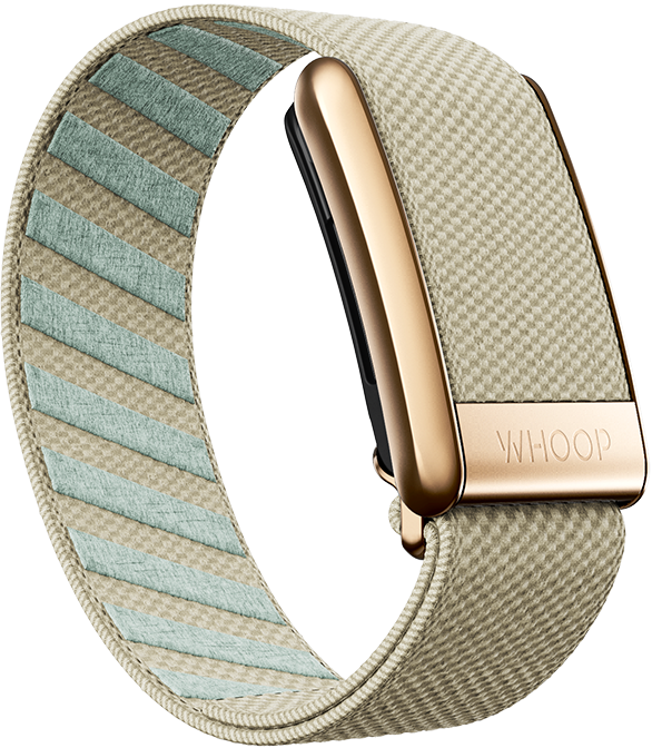 Premium Whoop Armband | Performance Knit in Weiß für Whoop 4.0 Premium Whoop Armband | Performance Knit in Weiß für Whoop 4.0